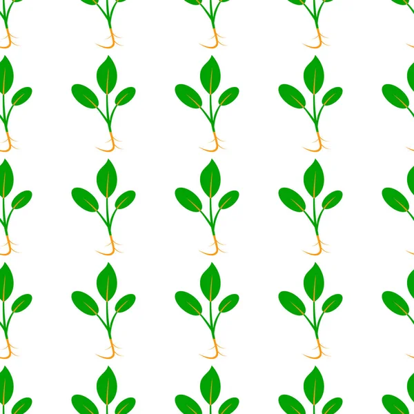 Microgreens. Βλαστάνοντες σπόρους από ένα φυτό. Χωρίς ραφή πρότυπο. — Διανυσματικό Αρχείο