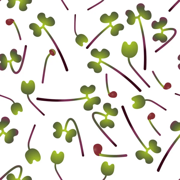 Microgreens Red Cabbage. Sprouting sementes de uma planta. Padrão sem costura. Suplemento vitamínico, comida vegana . — Vetor de Stock