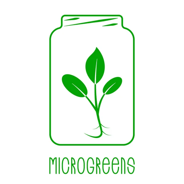 Microgreens Logo. Bir cam kavanoza bitki. Tohum ve yaşam microgreens ambalaj tasarımı. — Stok Vektör
