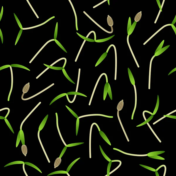 Microgreens Cenoura. Sprouting sementes de uma planta. Padrão sem costura. Suplemento vitamínico, comida vegana . —  Vetores de Stock