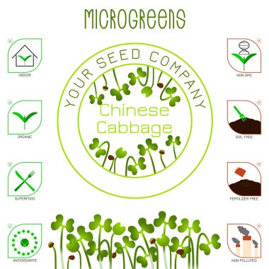 Microgreens Çin lahanası. Tohum ambalaj tasarımı, metin, simgeler