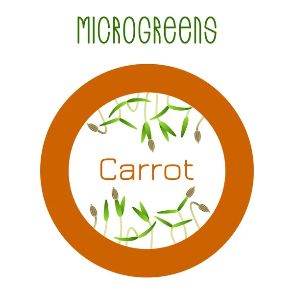 Microgreens morot. Utsäde förpackningsdesign, runda element — Stock vektor