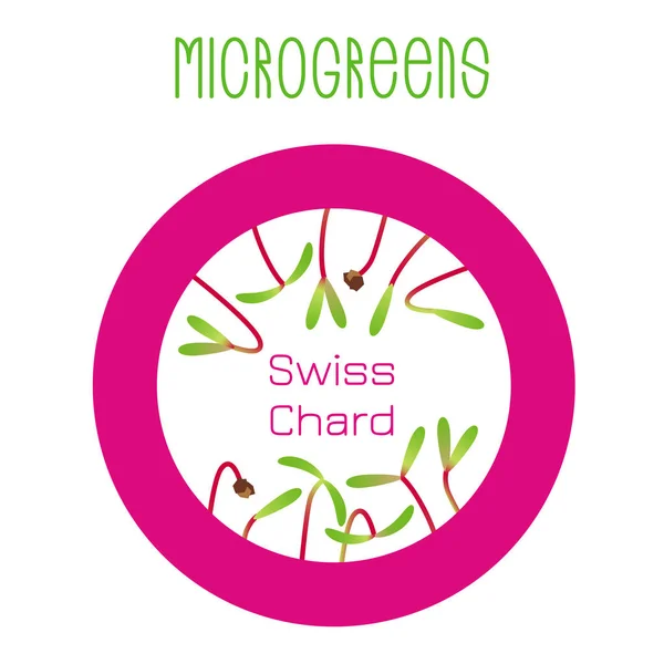 Microgreens Zwitsers snijbiet. Zaad verpakkingsontwerp, ronde element — Stockvector