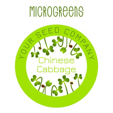 Microgreens Çin lahanası. Öğe yuvarlak tohum ambalaj tasarımı