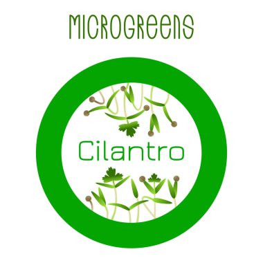 Mikroyeşiller Cilantro. Tohum Paketleme tasarımı, yuvarlak eleman