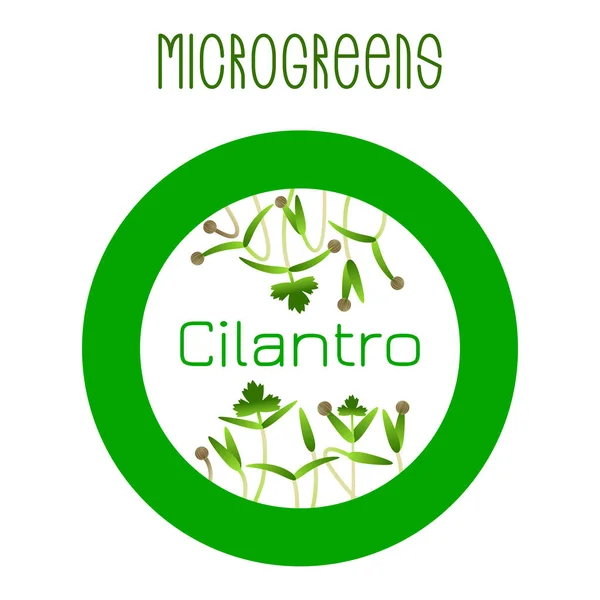 Microgreens koriander. Utsäde förpacknings design, runda elementet — Stock vektor