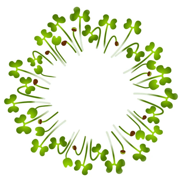 Microgreens Collard. Arreglado en círculo. Fondo blanco — Vector de stock