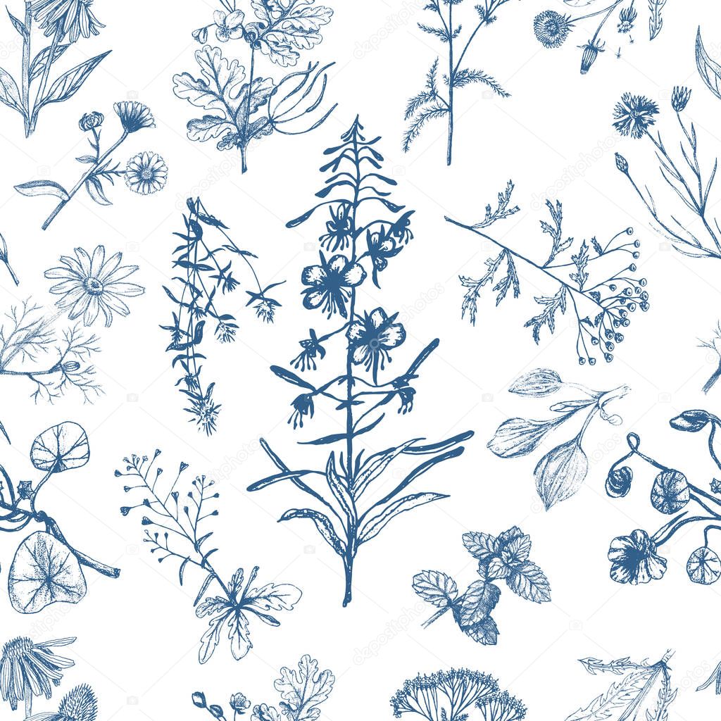 Medicinal herbs seamless pattern indigo