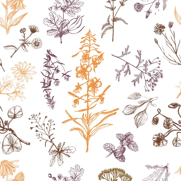 Herbes médicinales motif sans couture orange et brun — Image vectorielle