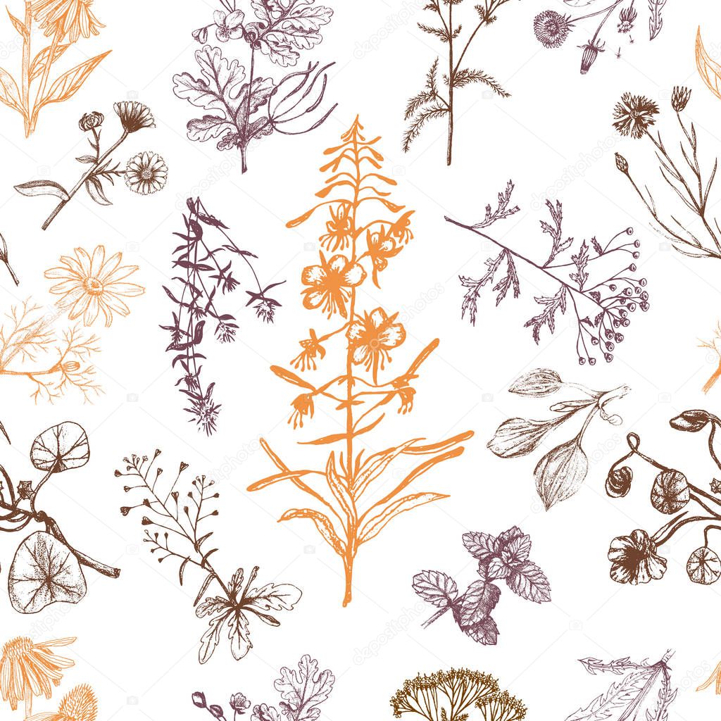 Medicinal herbs seamless pattern orange and brown