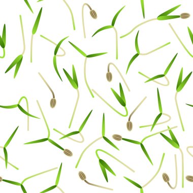 Microgreens Dereotu. Bir bitkinin filizlenen tohumları. Kusursuz desen. Vitamin takviyesi, vegan gıda.