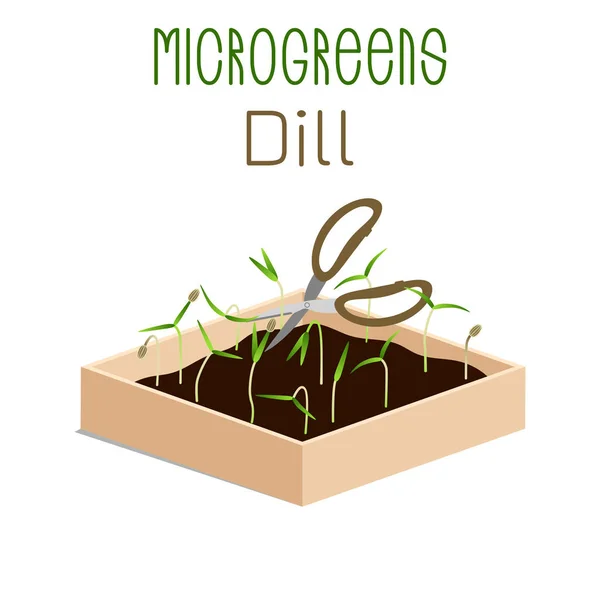 "Μικροπράσινοι". Τα λαχανάκια σε ένα μπολ. Φυτεύεις σπόρους ενός φυτού. Συμπλήρωμα βιταμίνης, Χορτοφαγική διατροφή. — Διανυσματικό Αρχείο
