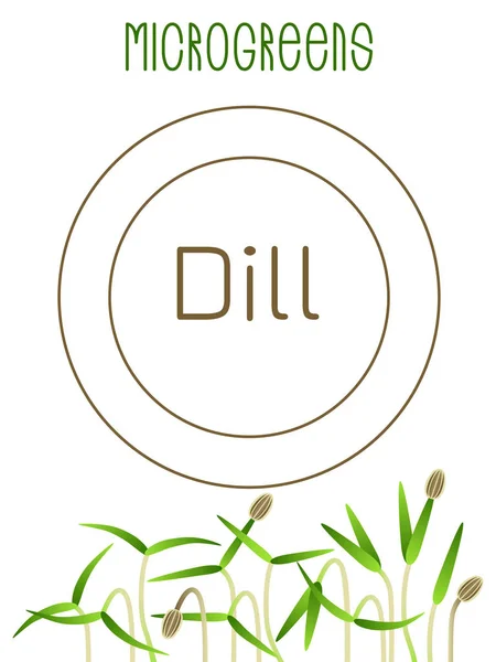 Microgreens Dill. Conception d'emballage de semences, texte, nourriture végétalienne — Image vectorielle