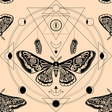 Gece güvesi, kelebek pupası. Kutsal geometri, ezoterik semboller.