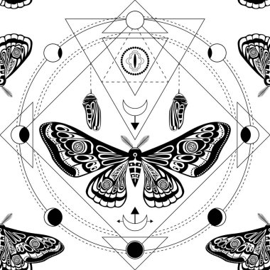 Gece güvesi, kelebek pupası. Kutsal geometri, ezoterik semboller.