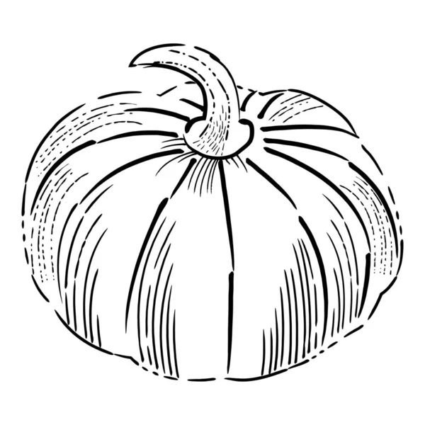 Pumpa ikon, Skörda Thanksgiving skiss vektor illustration. — Stock vektor