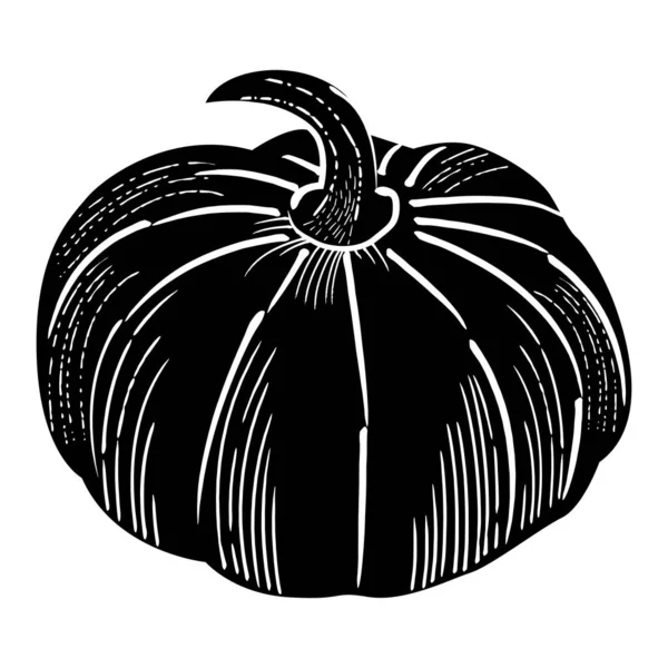 Balkabağı ikonu, Şükran Günü skeci çizim çizimi.