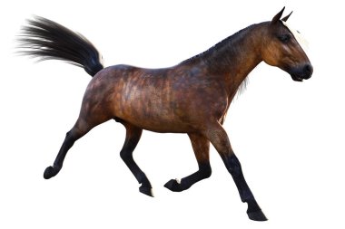 Kahverengi At, 3d illüstrasyon, 3d render