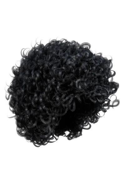 Afro Hair Isolated Afro Amerikaans Illustratie Rendering — Stockfoto