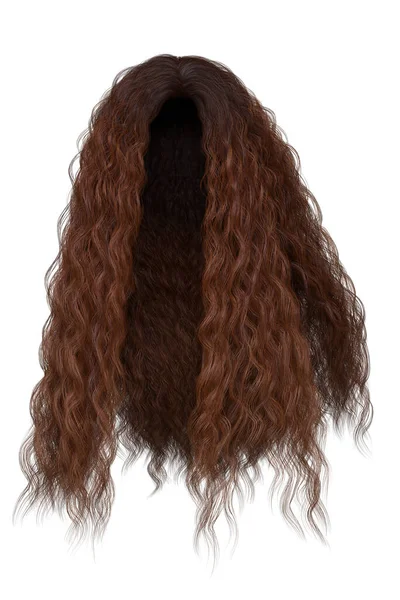 Lange Lockige Haare Auf Isoliertem Hintergrund Rendering Illustration — Stockfoto