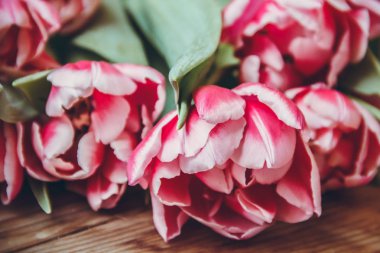 Laleler tahta bir masanın üzerinde yatıyor. Close. Ahududu çiçekleri. Pembe laleler.