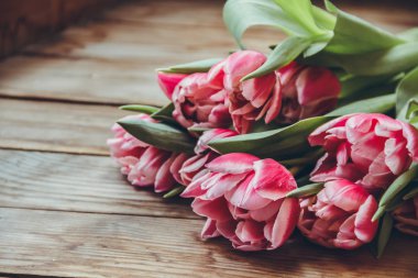 Laleler tahta bir masanın üzerinde yatıyor. Close. Ahududu çiçekleri. Pembe laleler. Tebrik kartları için arka plan.