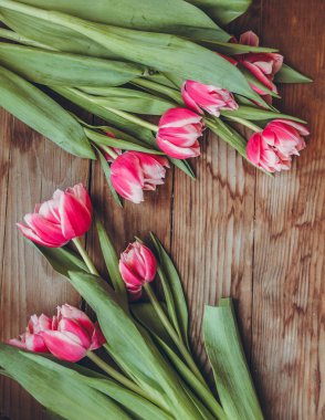 Laleler tahta bir masanın üzerinde yatıyor. Close. Ahududu çiçekleri. Pembe laleler. Tebrik kartları için arka plan.