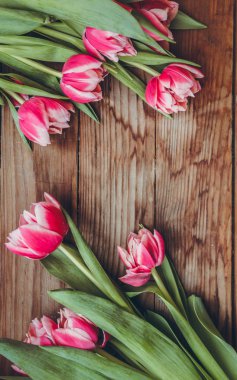 Laleler tahta bir masanın üzerinde yatıyor. Close. Ahududu çiçekleri. Pembe laleler. Tebrik kartları için arka plan.