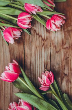 Laleler tahta bir masanın üzerinde yatıyor. Close. Ahududu çiçekleri. Pembe laleler. Tebrik kartları için arka plan.