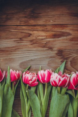 Laleler tahta bir masanın üzerinde yatıyor. Close. Ahududu çiçekleri. Pembe laleler.