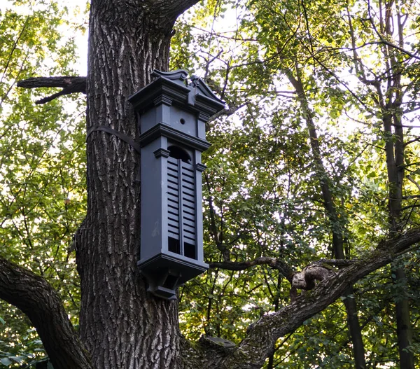 Het verzorgen van de vogels. Birdhouse in een stadspark. — Stockfoto