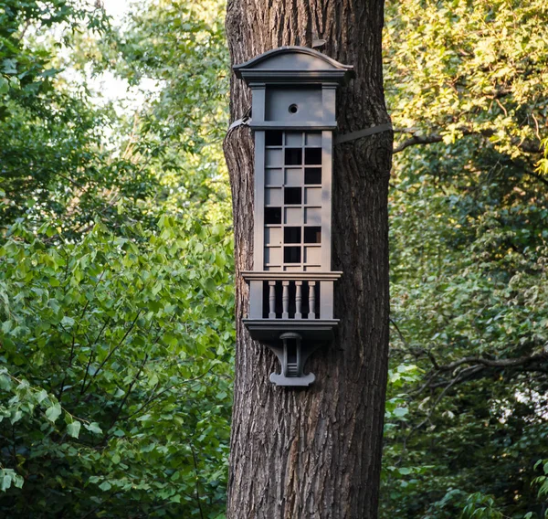 Het verzorgen van de vogels. Birdhouse in een stadspark. — Stockfoto