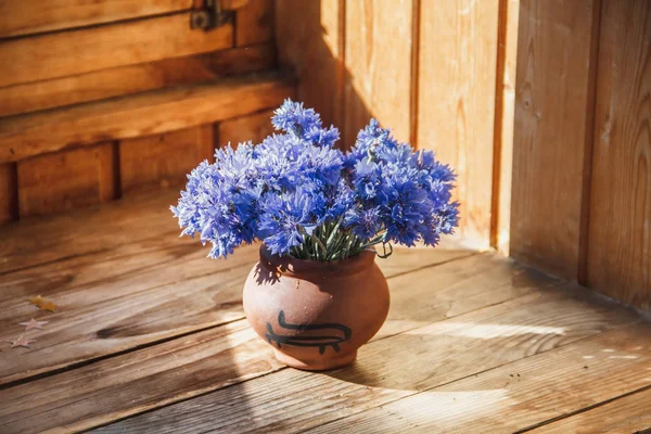 Beyaz toprak içinde cornflower Çiçekler. Vazo ahşap bir rafta. Kilden vazoda bir buket çiçek.