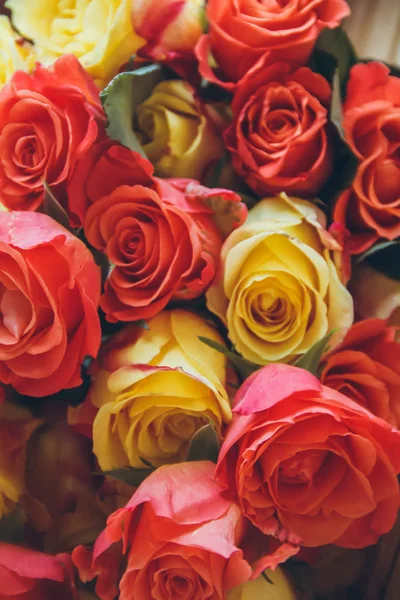 オレンジと黄色のバラの背景。オレンジ、イエロー、レッドのバラクローズアップ。花の背景. ロイヤリティフリーのストック写真