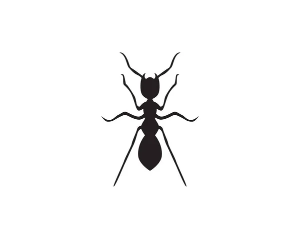 Ant Logo Template Vector Illustratio — Stock Vector