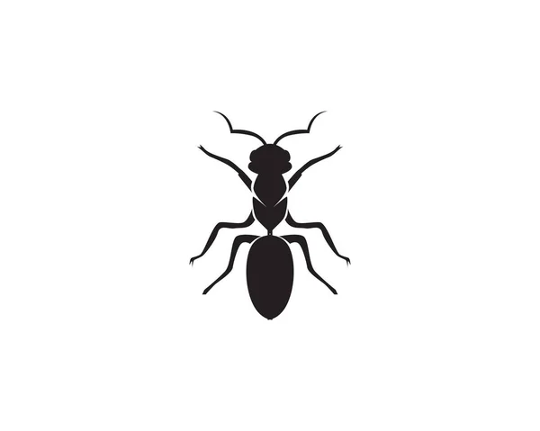 Ant Logo Sjabloon Vector Illustratio — Stockvector