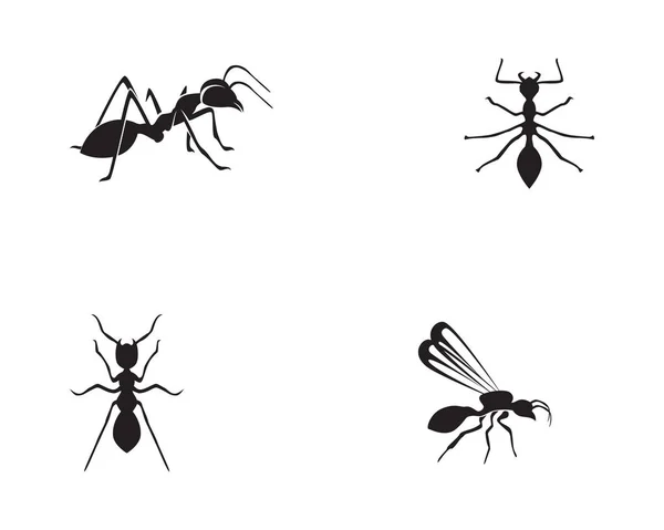 Ant Logo Modelo Vetor Ilustratio — Vetor de Stock