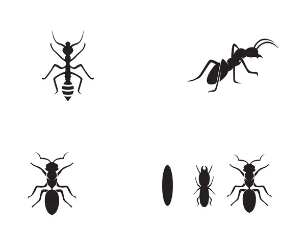 Ant Logo Plantilla Vector Illustratio — Vector de stock