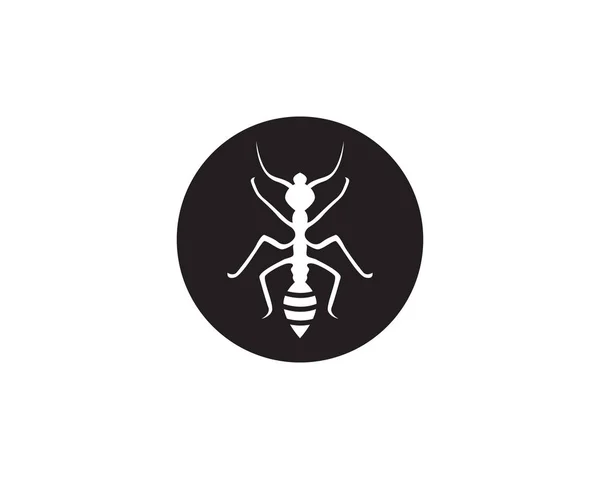 Ant Logo Sjabloon Vector Illustratio — Stockvector