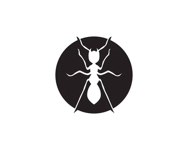 Ant Logo Sjabloon Vector Illustratio — Stockvector