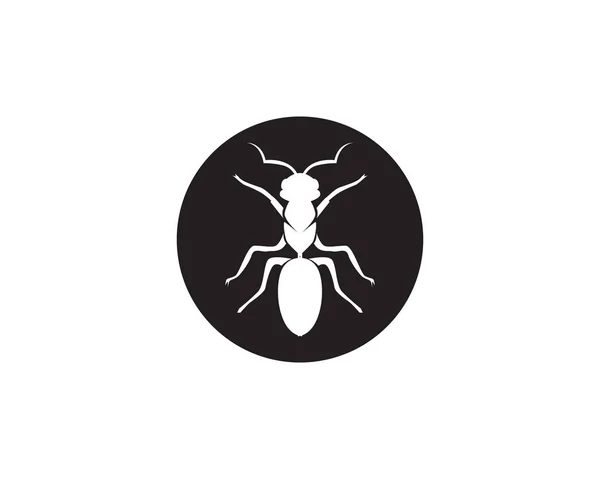 Ant Logo Sjabloon Vector Illustratio — Stockvector