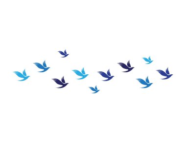  kuş uçmak işareti soyut şablon simgeler ap