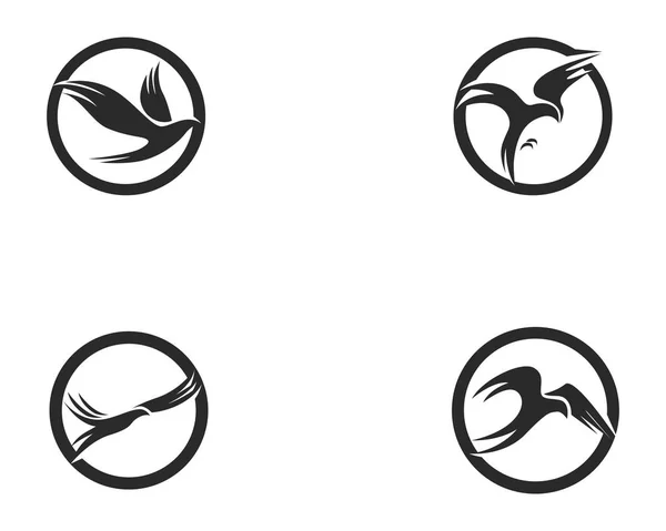 Znak Mucha Ptak Streszczenie Szablon Ikony — Wektor stockowy