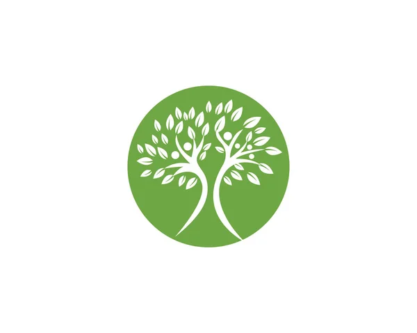 树族叶绿色标志和符号矢量模板 — 图库矢量图片