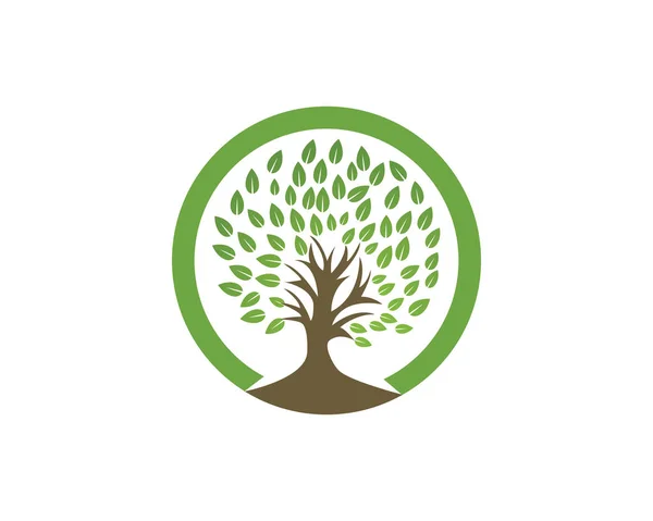 Arbre Famille Feuille Vert Logo Symboles Vectoriel Modèle — Image vectorielle