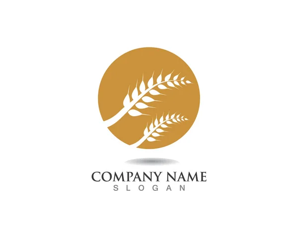 Agriculture Wheat Logo Template Healthy Life Logo Vector Icon Design — Stock Vector