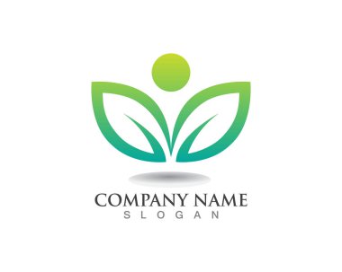 Yaprak yeşili doğa logosu ve sembol şablonu