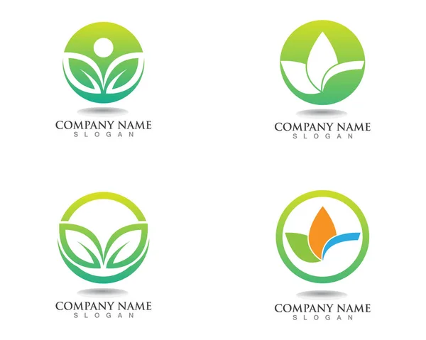 Folha Verde Natureza Logotipo Símbolo Modelo — Vetor de Stock