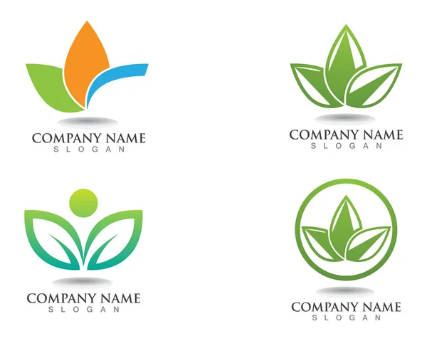 Folha Verde Natureza Logotipo Símbolo Modelo — Vetor de Stock