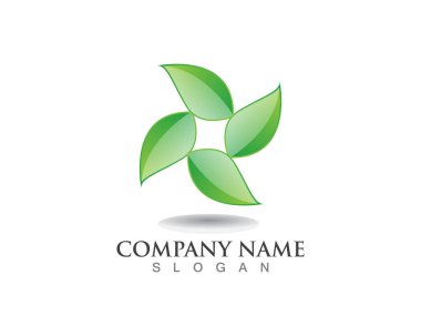 Yeşil yaprak ekoloji doğa öğesi simgesi logoları